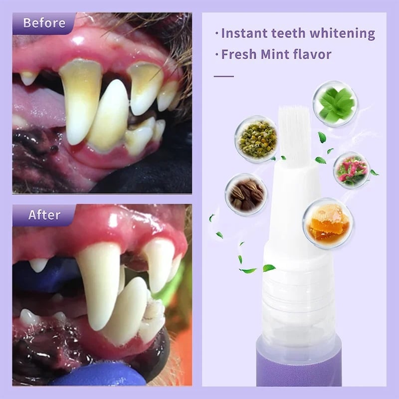 š„BUY 1 GET 1 FREEš„Pet Oral Repair Gelš±š¶