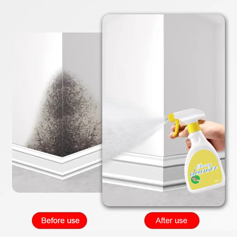 🔥Housework First Choice👍Bright As New Wall Mold Removal Spray