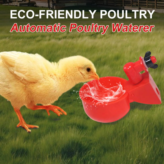 🔥New Hot Selling❤️‍🔥 Eco-Friendly Poultry Automatic Poultry Waterer