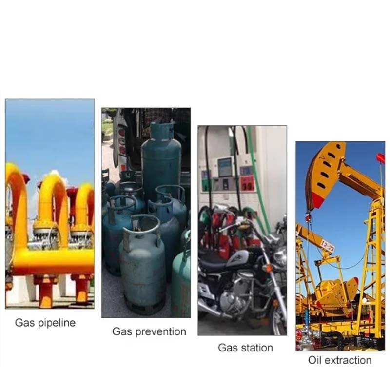 🔥2025 ventes chaudes🔥Portable Pen Type Combustible Gas Leak Detector