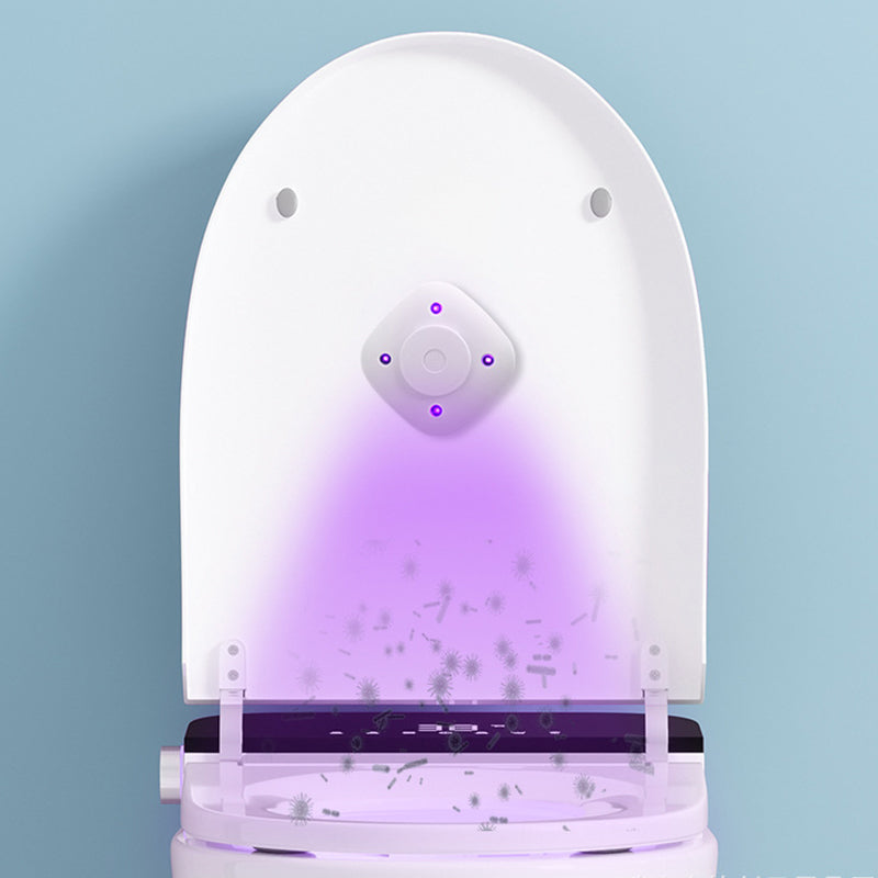 🔥2025 Hot Sale🔥 UV Toilet Sterilization Lamp Set