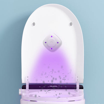 🔥2025 Hot Sale🔥 UV Toilet Sterilization Lamp Set