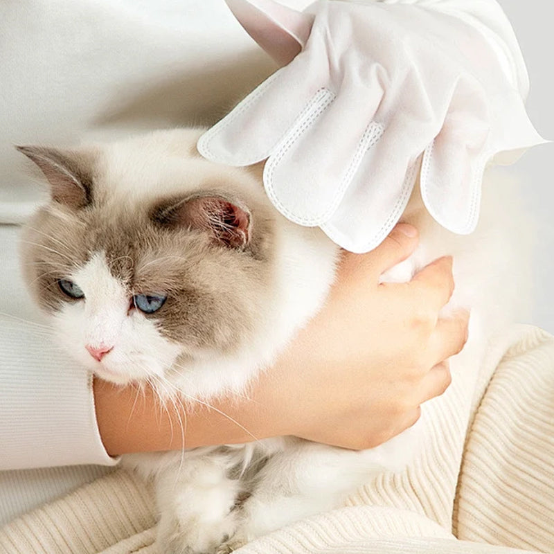 🎉 Last Day Promotion-49% OFF 🫧Gentle Pet Cleaning No-Rinse Gloves
