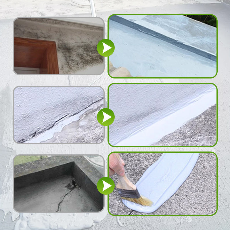Waterproof Sealant Paint for Walls