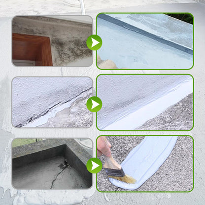 Waterproof Sealant Paint for Walls