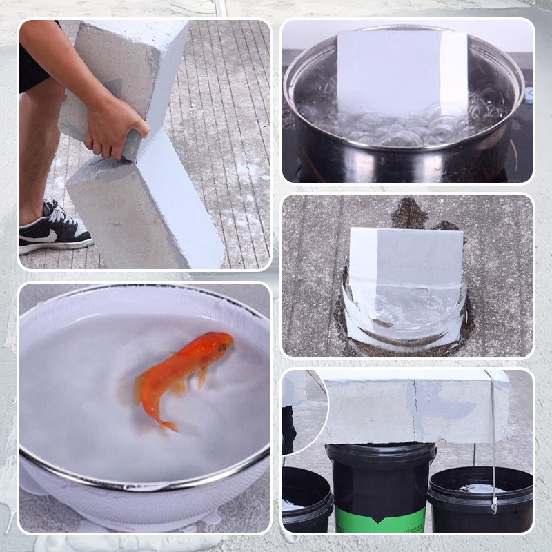 Waterproof Sealant Paint for Walls