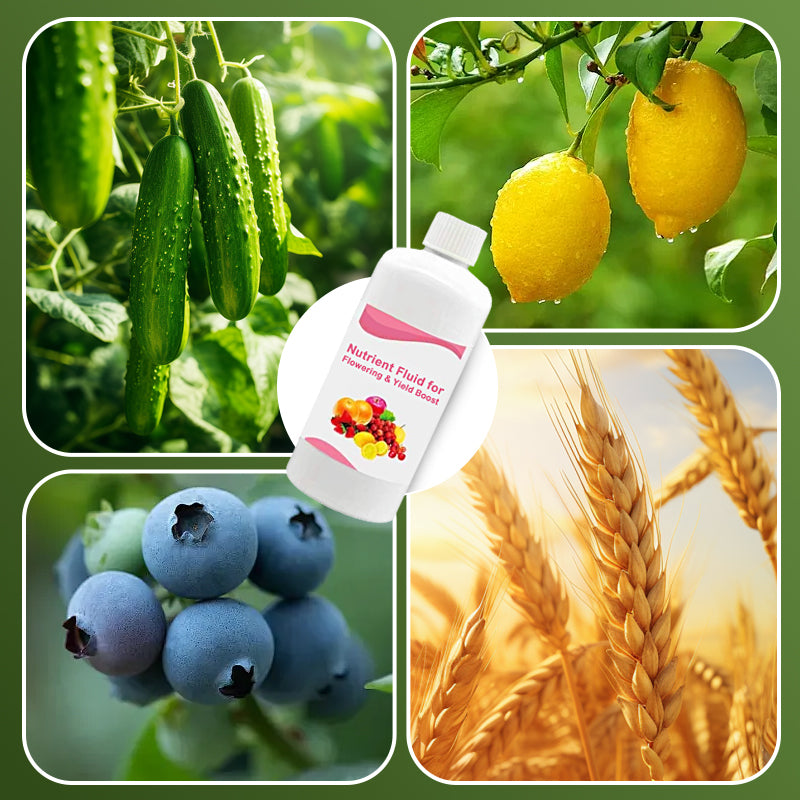 🔥Hot Sale🔥Nutrient Fluid for Flowering & Yield Boost